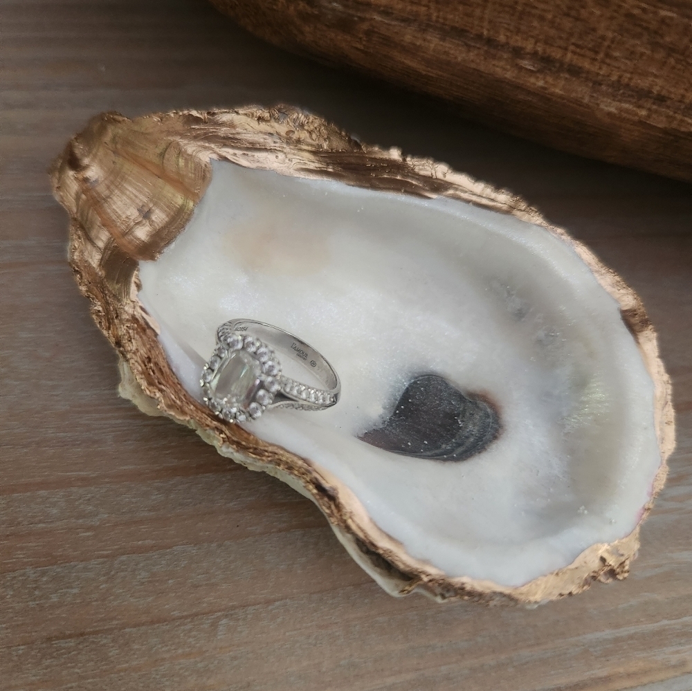 Elegant unique oyster jewelry dish
